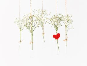 Fünf Reagenzgläser hängen an dünnen Fäden von oben ins Bild. Sie sind mit kleinen weißen Blumen gefüllt. Eines ist mit einem großen roten Herz verziert