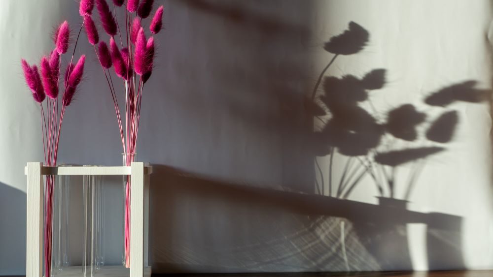 Am linken Bildrand ein weißer Reagenzglasständer mit 2 Gläsern mit pinken Blumen, der Schatten wird an die Wand am rechten BIldrand geworfen