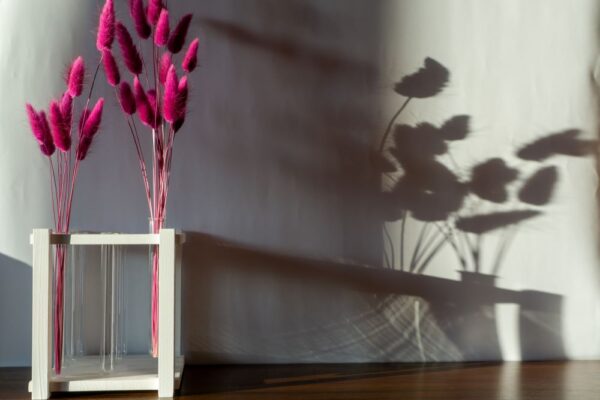 Am linken Bildrand ein weißer Reagenzglasständer mit 2 Gläsern mit pinken Blumen, der Schatten wird an die Wand am rechten BIldrand geworfen